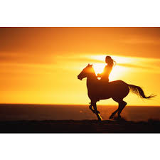 blog girl with horse